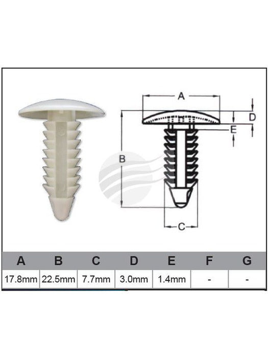 Jaylec Pack 10 Automotive Fastener Gm White Plastic EAF0002-10 Fasteners Jaylec - Micks Gone Bush