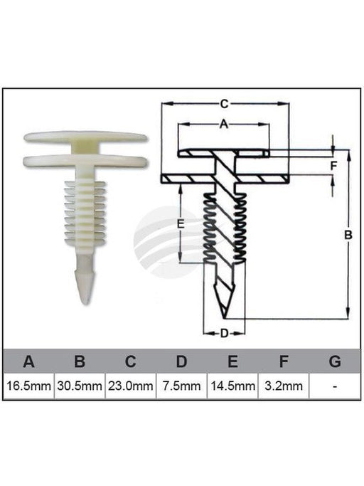 Jaylec Pack 10 Automotive Fastener Universal White Plastic EAF0013-10 Fasteners Jaylec - Micks Gone Bush