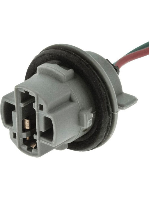 Jaylec Globe Holder T20 Single Contact ECH3160 Light Bulb Sockets Jaylec - Micks Gone Bush