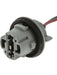 Jaylec Globe Holder T20 Single Contact ECH3160 Light Bulb Sockets Jaylec - Micks Gone Bush