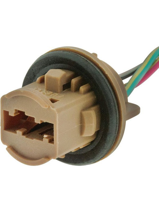 Jaylec Globe Socket T20 Double Contact ECH3161 Light Bulb Sockets Jaylec - Micks Gone Bush
