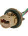 Jaylec Globe Socket T20 Double Contact ECH3161 Light Bulb Sockets Jaylec - Micks Gone Bush