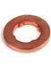 Bosch Lower Seal Ring Suit Injector 0445110250 0445110249 F00VC17504 BOSCH - Micks Gone Bush