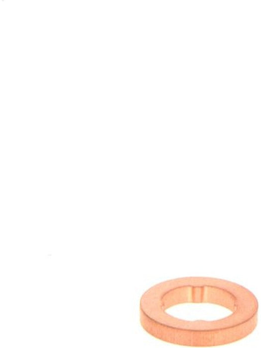 Bosch Hole-Type Nozzle F00VP01008 BOSCH - Micks Gone Bush