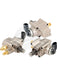 Pierburg High Pressure Fuel Pump For Audi A5 S5 A6 Q7 R8 4.2L Fsi FP8083.GDI Pierburg - Micks Gone Bush