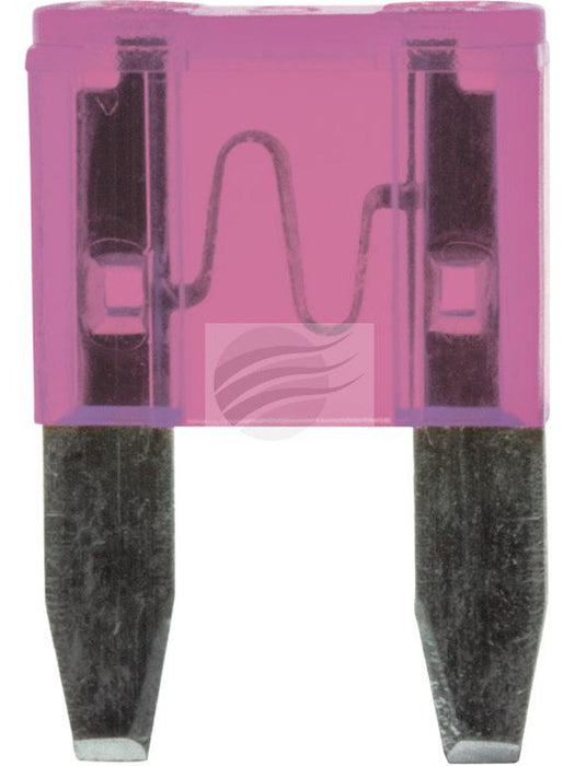 Jaylec Mini Blade Fuse 3Amp Violet Pack 10 FU2003-10 Fuses Jaylec - Micks Gone Bush