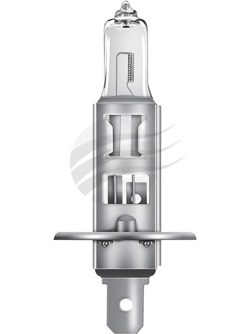 Jaylec H1 Halogen Globe 24V 100W P14.5S [ref Narva 48750BL] Pack of 1 GL2115 Headlights Jaylec - Micks Gone Bush