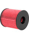 K&N Oil Filter HP-7024 K&N - Micks Gone Bush