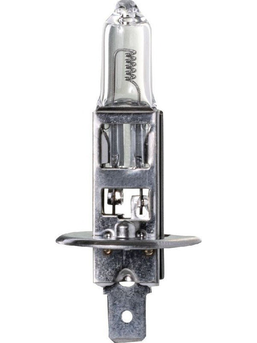 Ignite H1 Halogen Globe 24V 100W P14.5s Base Rally Blister Pack of 1 IGL2115BL Ignite - Micks Gone Bush