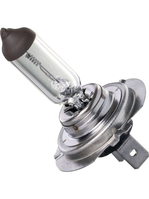 Ignite H7 Halogen Globe 24V 70W PX26d Base Standard Blister Pack 1 IGL2165BL Ignite - Micks Gone Bush