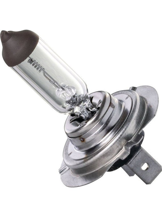 Ignite H7 Halogen Globe 24V 70W PX26d Base Standard Blister Pack 1 IGL2165BL Ignite - Micks Gone Bush