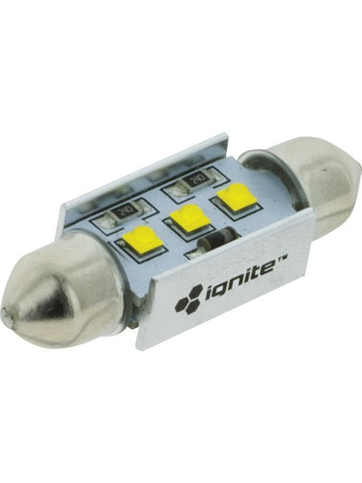 Ignite Led Signalling Globe 12V - 39mm Festoon 220 Lumens Pack of 1 IGL9139 Ignite - Micks Gone Bush