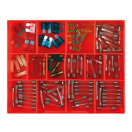 Champion Fasteners CA105 Auto Fuse Assortment 100 Piece FUSE ASSORTMENT CHAMPION FASTENERS - Micks Gone Bush