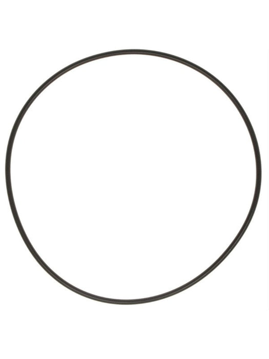 Mahle Water Pump Gasket 0.1 in Thick Rubber GM LS-Series Pair K31629 Water Pump Gaskets Mahle - Micks Gone Bush