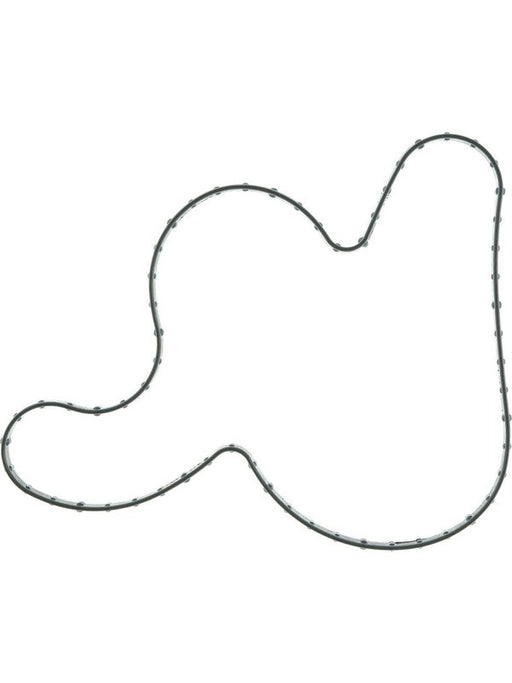 Mahle Water Pump Gasket 0.112 in Thick Rubber Ford Godzilla K33826 Water Pump Gaskets Mahle - Micks Gone Bush