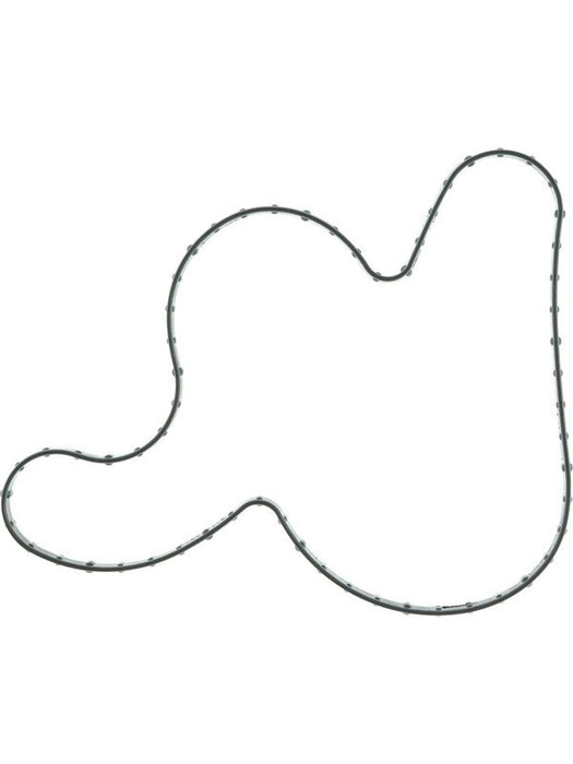 Mahle Water Pump Gasket 0.112 in Thick Rubber Ford Godzilla K33826 Water Pump Gaskets Mahle - Micks Gone Bush