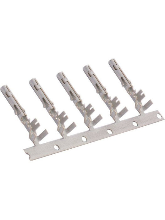 Delphi Weather Pack Socket Pack 20 LV2350 Wire Connectors Delphi - Micks Gone Bush