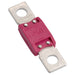 Projecta Mega Fuse 250A Blade Fuse BT950-250 FUSE PROJECTA - Micks Gone Bush