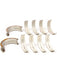 Mahle Main Bearing Set MS-1432P-20 Bearings Mahle - Micks Gone Bush