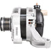 OEX Alternator 12V 160A Denso Style DXA562 ALTERNATOR OEX - Micks Gone Bush