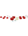 Nolathane Front Essential Vehicle Kit NVK10 Nolathane - Micks Gone Bush