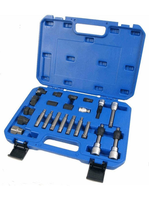 Dayco 22 Piece Over Run Alternator Pulley Installation Kit Oap OAPTK002 Dayco - Micks Gone Bush