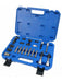 Dayco 22 Piece Over Run Alternator Pulley Installation Kit Oap OAPTK002 Dayco - Micks Gone Bush