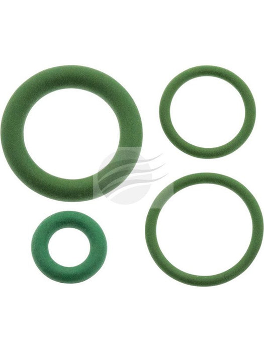 Jayair O Ring Kit TX Expansion Valve Astra TR TS Barina Sb Calibra Ye OR9450 Jayair - Micks Gone Bush