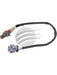 AFI Oxygen Sensor OXY1546 AFI - Micks Gone Bush