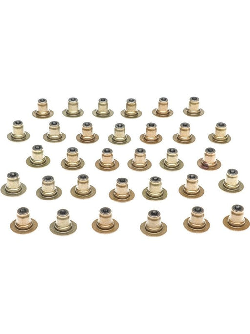 Mahle Valve Stem Oil Seal Set Fits 18-24 Ford 5.0L Set of 32 SS46149 Engine Valve Stem Oil Seals Mahle - Micks Gone Bush