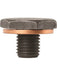 Tridon Sump Plug TDP017 Tridon - Micks Gone Bush