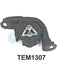 Transgold Engine Mount LH Fits GMH Combo Sb 96-On/Barina Sb 94-97 1.4L TEM1307 TRANSGOLD - Micks Gone Bush