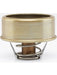 Tridon Thermostat TT238-170 Tridon - Micks Gone Bush