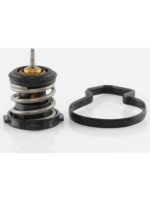 Tridon Thermostat TT768-176 Tridon - Micks Gone Bush