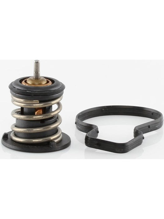 Tridon Thermostat TT769-176 Tridon - Micks Gone Bush