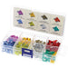 OEX Low Profile Mini Fuse Assortment Kit 166 Piece ACX1735 FUSE ASSORTMENT OEX - Micks Gone Bush