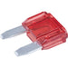 OEX Mini Blade Fuse 10A Red - Pack Of 5 | Part No. ACX1653BL FUSE OEX - Micks Gone Bush