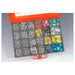 Champion Auto Fuse Master Kit CA2005 | 310 Piece Fuse Assortment FUSE ASSORTMENT CHAMPION FASTENERS - Micks Gone Bush