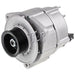 OEX Alternator 24V 100A Bosch Style BXA058 ALTERNATOR OEX - Micks Gone Bush